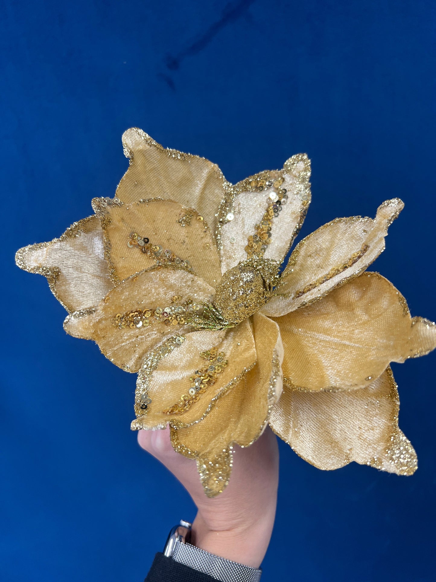 Glitter Gold Poinsettia