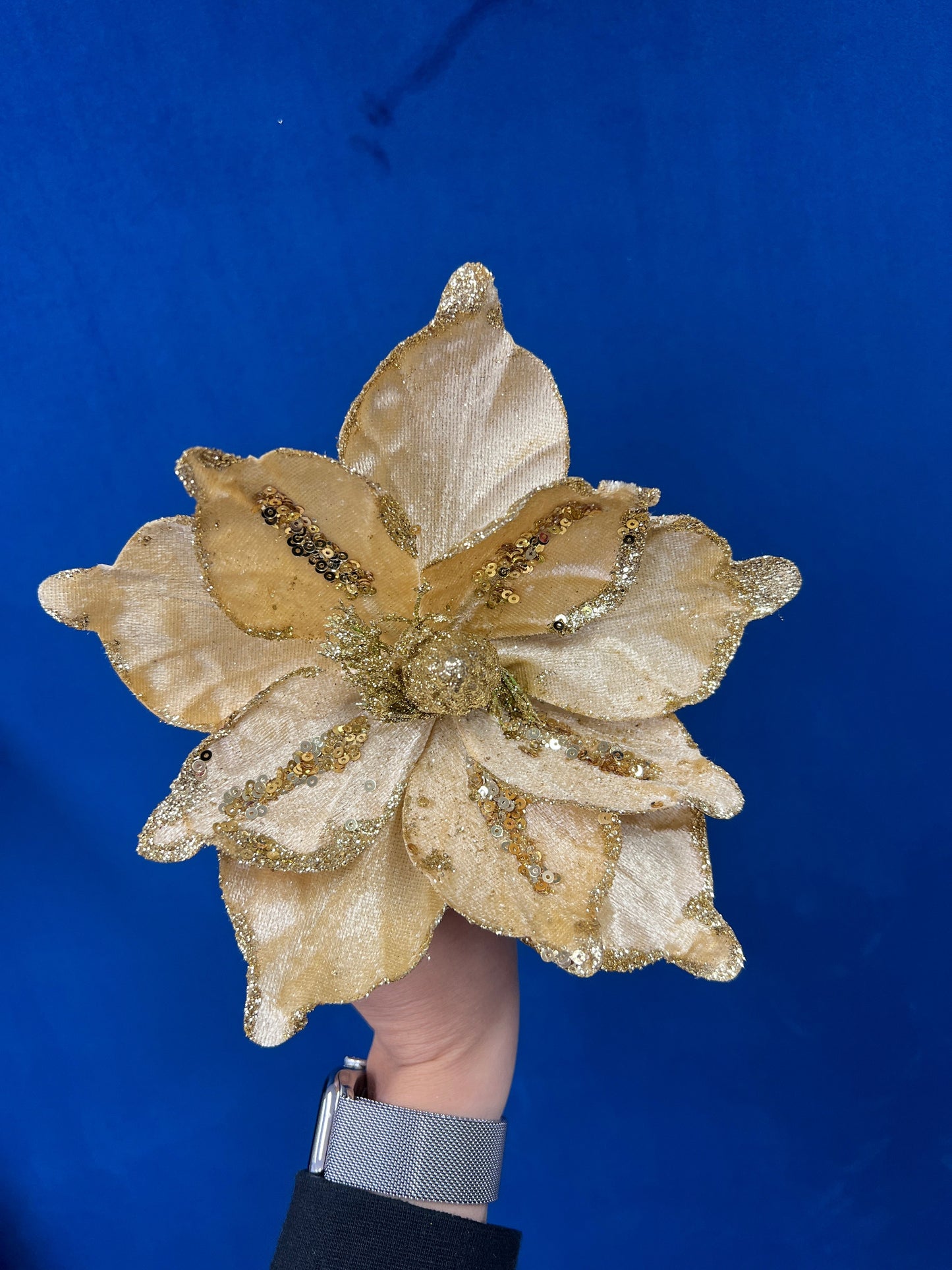 Glitter Gold Poinsettia