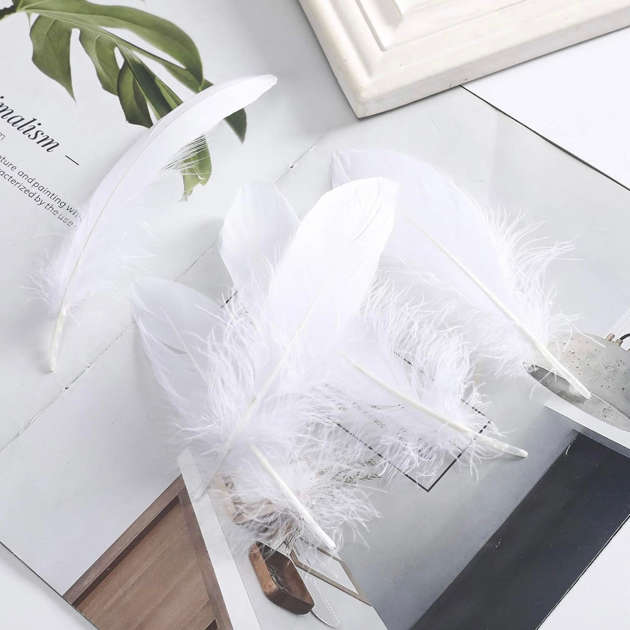 White Natural Goose Feathers 100 pcs 2-5 inch