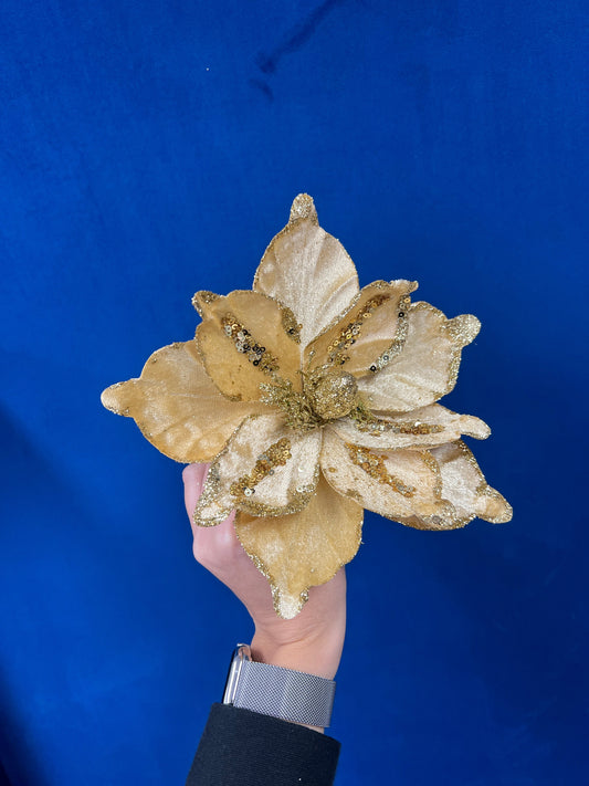 Glitter Gold Poinsettia