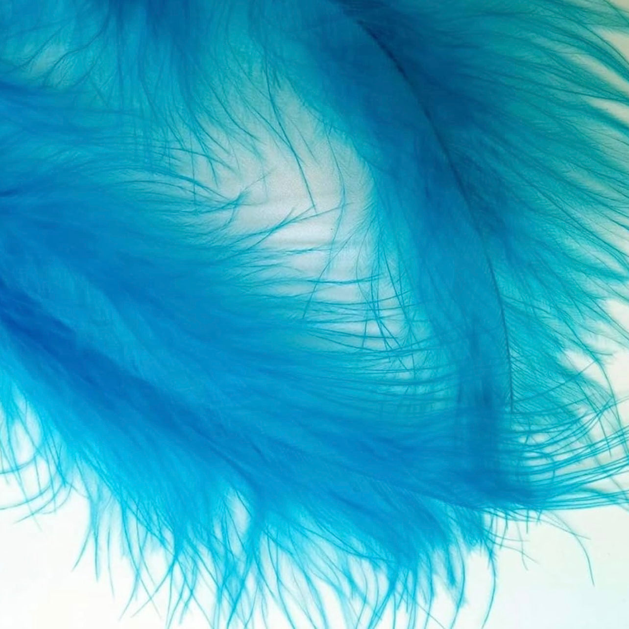 Turquoise Natural Goose Feathers 100 pcs 2-5 inch