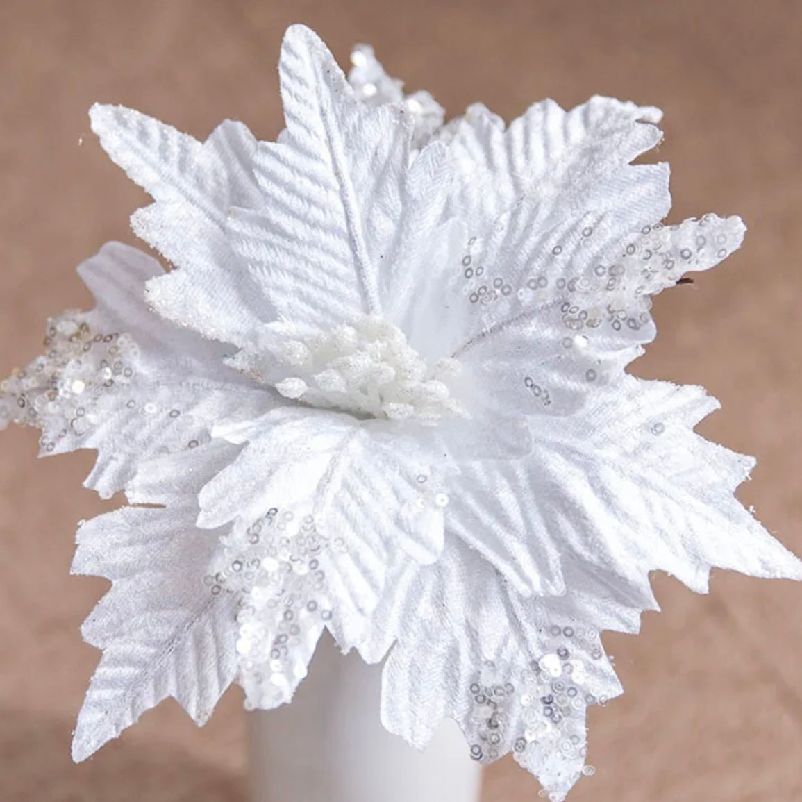 Glitter White Poinsettia