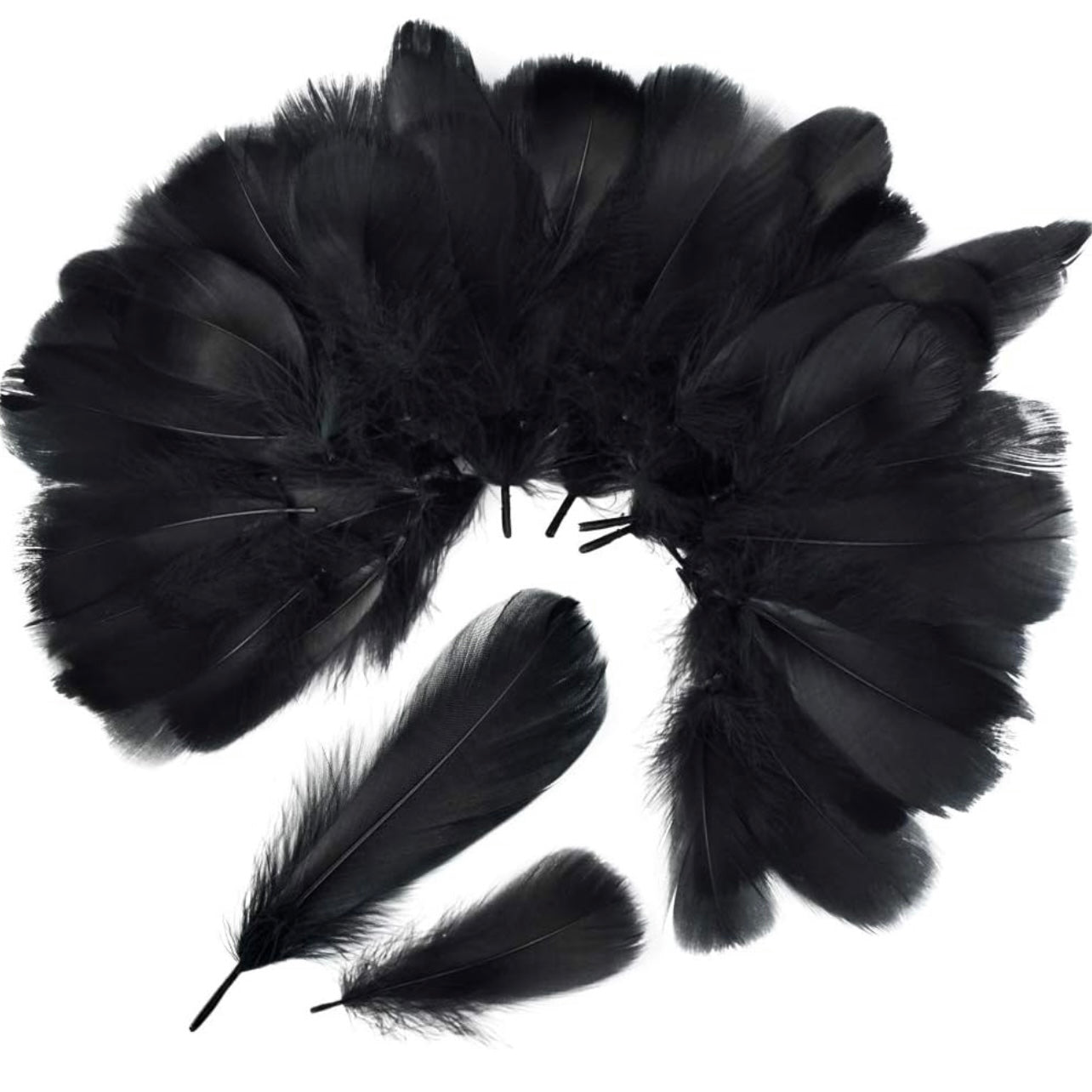 Black Natural Goose Feathers 100 pcs 2-5 inch