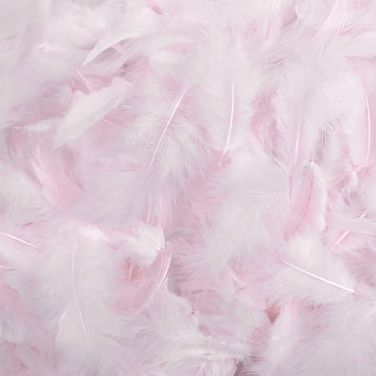 Light Pink Natural Goose Feathers 100 pcs 2-5 inch